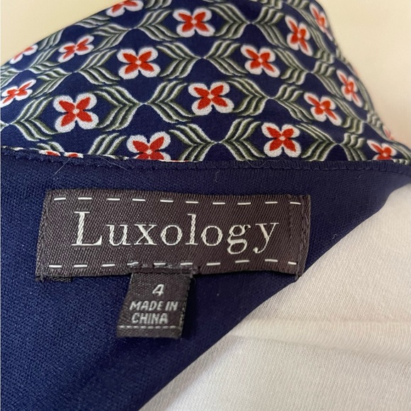 Luxology Blue Paisley Floral Embroidered Dress with Handkerchief Hem - Picture 5 of 5